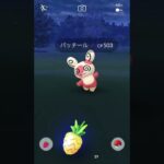 【ポケモンGO】ポケモンリサーチ　ポケモン発見！　パッチール出たーっ　😵‍💫フラフラし過ぎぃ　笑