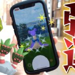 【強運】過ぎる色違い登場‼:ポケモンGOウォーターフェスティバル初日✨