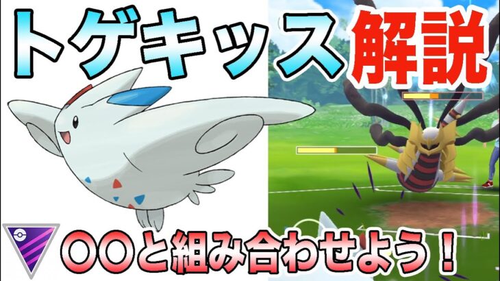 【ポケモンGO】シーズン12でレジェンドを狙うならこのパーティ！これから立ち回り研究していきます！