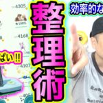 ボックス整理の極意！？GOフェス＆コミュデイに備えろ！【ポケモンGO】