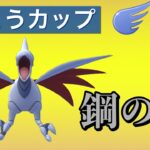 【ひこうカップ】勝つ鍵ははがねのつばさ型エアームド！このポケモンが大事です【GOバトルリーグ】【ポケモンGO】