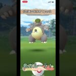 色違いを求めてpart2 #ポケGO #ポケモンGO #shorts