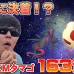 ヤトウモリメスを狙った12KMタマゴ163連の結末…ついにエンニュートへ！？【ポケモンGO】