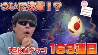 ヤトウモリメスを狙った12KMタマゴ163連の結末…ついにエンニュートへ！？【ポケモンGO】