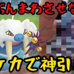 【ポケモンGO】コミュニティデイお疲れさまでした！サザンドラ増える読みトド入りガチパ！からのポケカ大量開封！【コミュニティデイ】