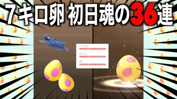 全力週間開幕！！これは割るべき？アドベ７キロ卵初日魂の３６連にてアイツが爆誕してしまいました・・・【ポケモンGO】