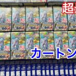 【ポケモンGO】新弾ポケカを超最速カートン開封!!気になる封入率は？