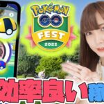 GO Festまで残り2日！意外と知らない？効率の良いボール回収の仕方！【ポケモンGO】