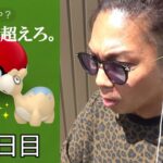 【ポケモンGO】モノズ後に野生は変わったのか？色違えドンメル＆メタモン！梅雨真っ只中のじっめじめむっしむしでも歩き続ける金沢の傾奇者スペシャル！【ポケカ11日目】