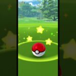 【ポケモンGO】モノズコミュニティデイ。色違い何体捕まえた？（俺は19体）