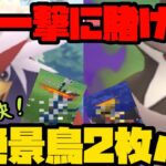 【ポケモンGO】一撃に賭ける！超火力の鳥2枚で絶景を撮りまくる！【ハイパーリーグ】