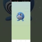 ポケモンGO★2km★タマゴ色違い狙いガチャ７連【2022年6月19日】孵化分#shorts