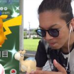 【ポケモンGO】遂にやったか！？色違えドンメル＆ポケカお帽子ピカチュウ！一瞬の天候ブーストチャンスを活かして「あの輝き」を掴み取れスペシャル！【ポケカ6日目】