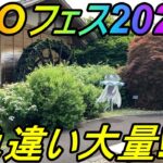 【ポケモンGO】ただただガチりまくったポケモンGOフェス2022！２日目！ガチり切った結果色違いは何匹獲れたのか!?