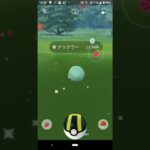 色違いナックラー　ポケモンＧＯ