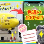 【神回】色違い100％降臨！？大人気で話題のピカチュウジェットに特別潜入したところ、まさかの奇跡が起きました！！