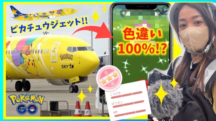 【神回】色違い100％降臨！？大人気で話題のピカチュウジェットに特別潜入したところ、まさかの奇跡が起きました！！