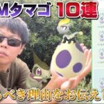 【報告あり】今割るべき10KMタマゴを10連割ったら！？アレの準備も兼ねて孵化活〜色違い100%キバゴやジャラコ、ヌメラなど狙いたい【ポケモンGO】