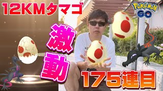 激動！？ヤトウモリのメス狙い！12KMタマゴ175連目にメスの兆し！？【ポケモンGO】
