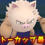 【生配信】オコリザルと共にカントーカップ最終日に挑む！ #879【ポケモンGO】