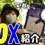 ポケモンBOX・アイテムBOX・メダル紹介2022年ver:ポケモンGO