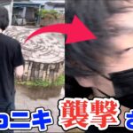 【GBLレジェンド】maoニキを襲撃したらとんでもない神個体が誕生した【ポケモンGO】