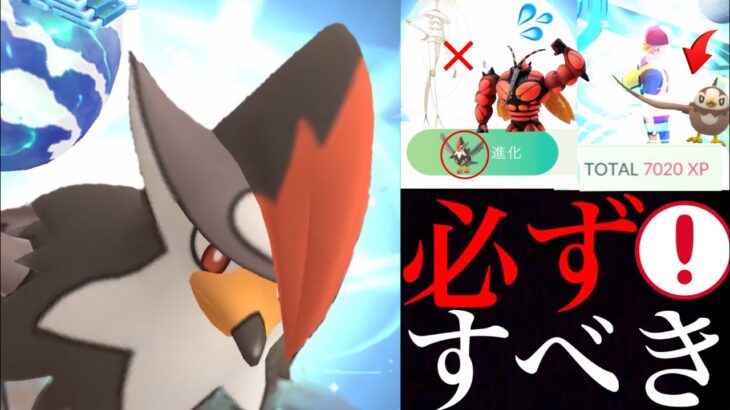 【重要】必ず〇〇チャンスを忘れずに！！今後の場面で重要になる可能性も？最大級のチャンスもガチるべき・・！【ポケモンGO・ムックル・コミュニティデイ・経験値３倍・マッシブーン・フェローチェ】