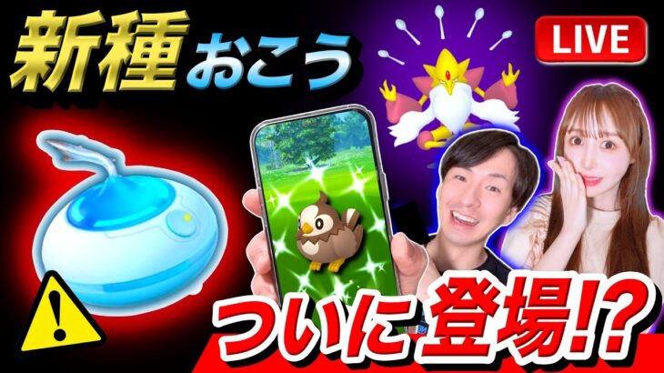 今後のイベントが激変する！？新種のおこうが登場！ムックルのコミュ二ティデイライブ【ポケモンGO】