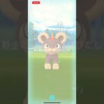 【ポケモンGO】画面が？？