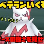 【ポケモンGO】ムキムキザングースの強さ見せてベテラン決めるわ【ハイパーリーグ】