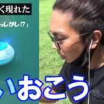 【ポケモンGO】大波乱！初登場「おさんぽおこう」を使ってみた！蒼きおこうに導かれし「予期せぬポケモン」とは？ヒスイイベント前日確認スペシャル！【ガラル三鳥】