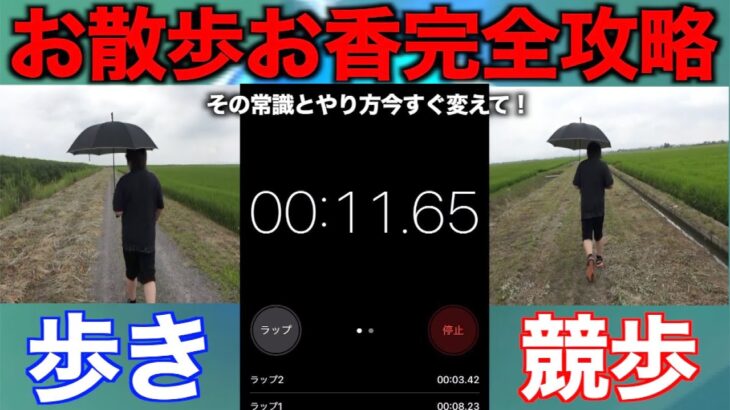 早歩き戦法は有効か？おさんぽおこう２日目検証したら最適解判明した【ポケモンGO】