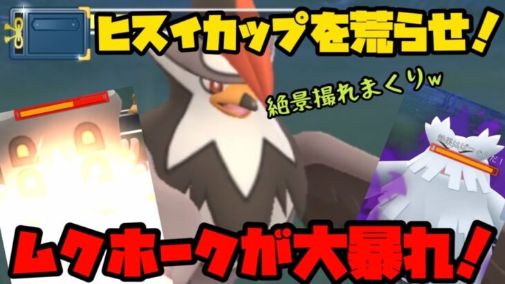 【ポケモンGO】コミュデイはこの為だった！？ヒスイカップでムクホークが大暴れ！【ヒスイカップ】