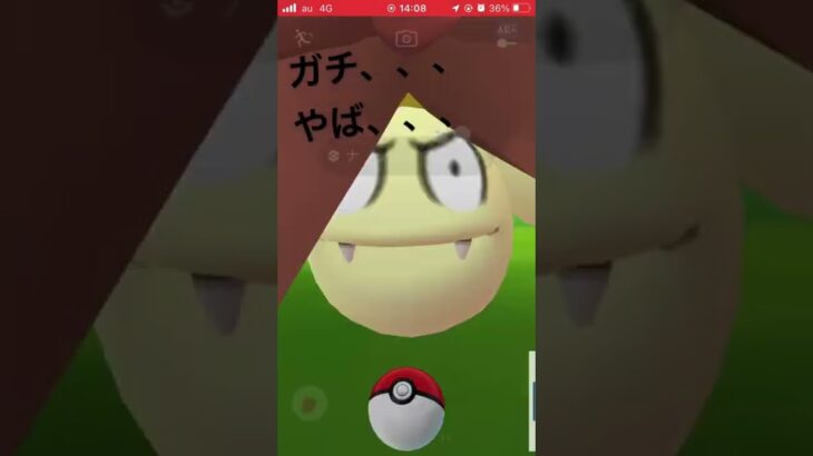 [ポケモンGO]金ピカ！ナッシー現る。