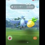 ポケモンGO フリーザー　色違い！！　PokémonGO