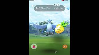 ポケモンGO フリーザー　色違い！！　PokémonGO