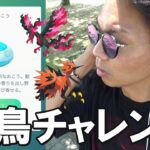 【ポケモンGO】ガラル三鳥をおびき寄せろ！3回目の「おさんぽおこう」チャレンジ！分かってきたその「仕様と疑問」についてぶっちゃけまスペシャル！【ヒスイ2日目】