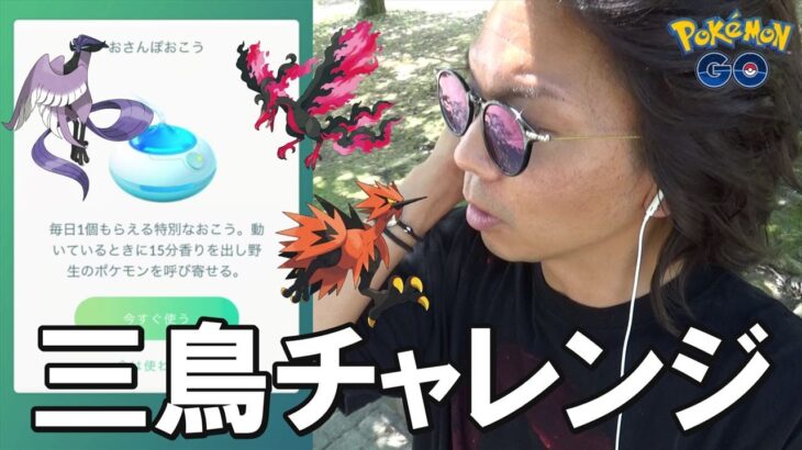 【ポケモンGO】ガラル三鳥をおびき寄せろ！3回目の「おさんぽおこう」チャレンジ！分かってきたその「仕様と疑問」についてぶっちゃけまスペシャル！【ヒスイ2日目】