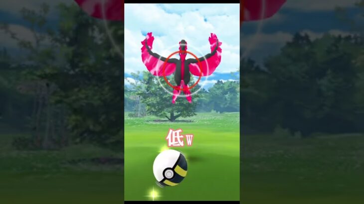 【ポケモンGO】ﾀﾌﾞﾝ、世界一CPが低い伝説に遭遇した　　　　　　　　　　　　　　　ガラルファイアーに遭遇！