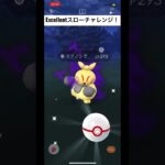 【ポケモンGO】Excellentスローチャレンジ！