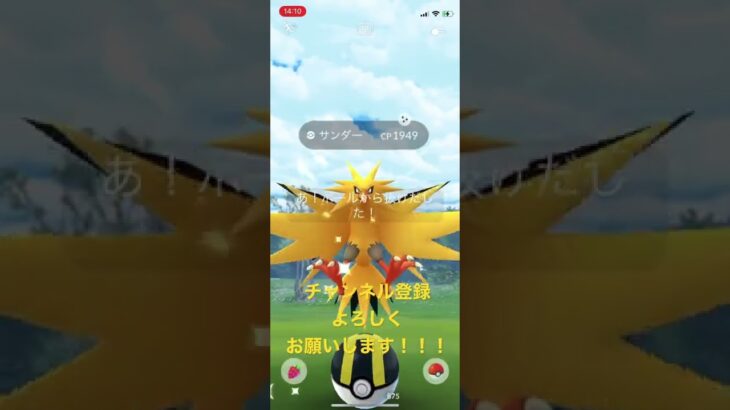 【ポケモンGO】サンダーの色違いGET〜！！