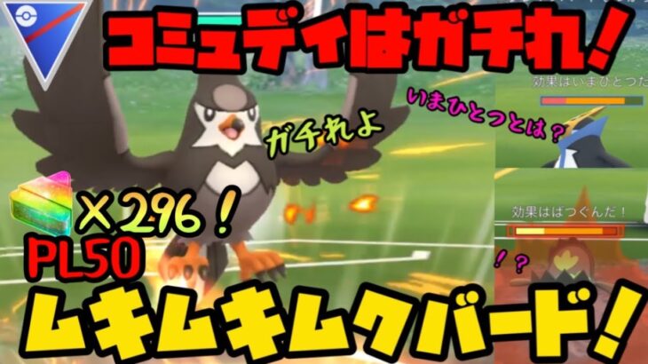 【ポケモンGO】ムックルコミュデイはガチれ！PL50、ムキムキ…ムクバード！？！？【スーパーリーグ】