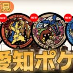 愛知初ポケ蓋‼️下見行ってきました🚗駐車場や周り方.観光スポット.所要時間など紹介:ポケモンGOin愛知県豊橋市_道の駅とよはし/のんほいパーク/豊橋公園/豊橋駅