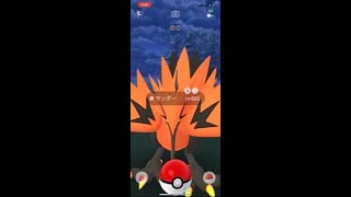 【ガラル三鳥】逃　げ　る　な　ｗ【ポケモンGO】#shorts 353