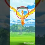 Moltres real battle in Pokemon go #ritiksahu0987 #pokemongo