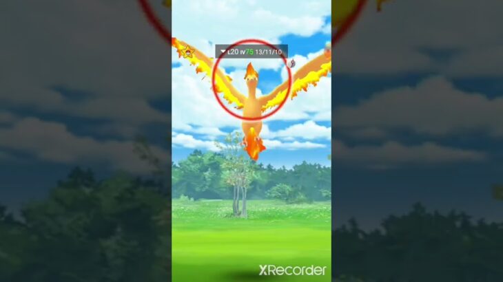 Moltres real battle in Pokemon go #ritiksahu0987 #pokemongo