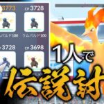 PL50のラムパルド軍団でファイヤーをソロで倒す！【ポケモンGO】