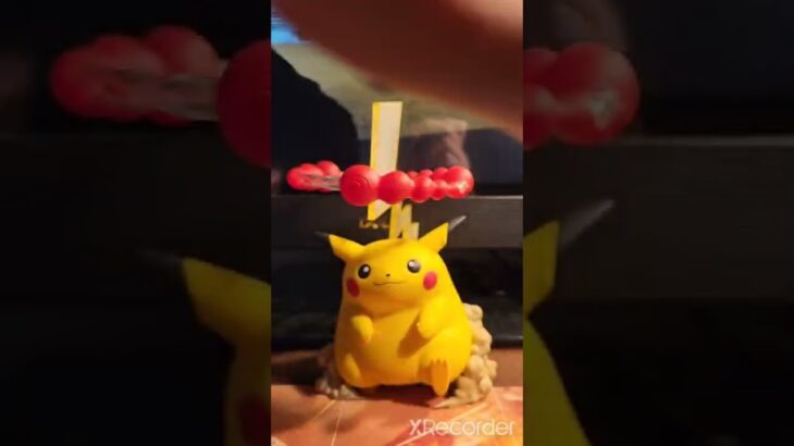 Pokemon Go Pack Opening