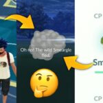 When Niantic Fix this Bug….. Pokemon go 😐