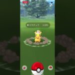 ポケモンgo 特別な帽子をかぶったピカチュウ　ゲットチャレンジ